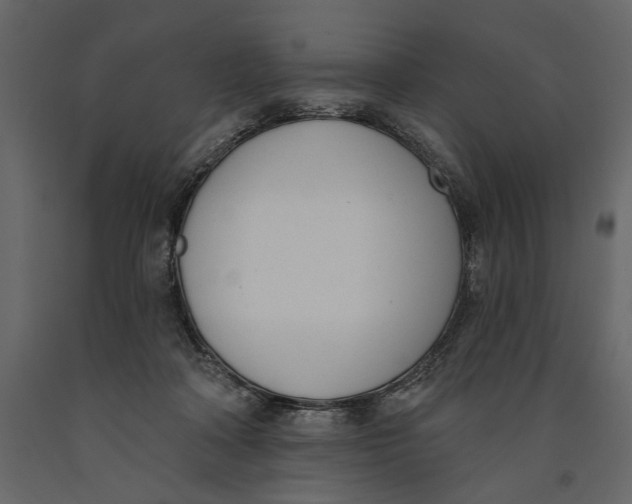 X0000091070314200708271221