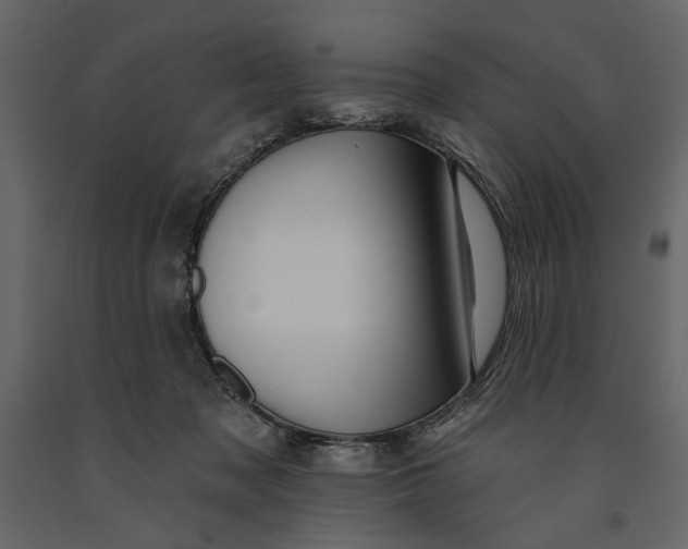 X0000091070317200708271221