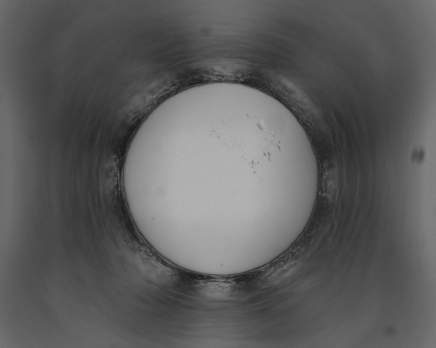 X0000091070318200708271221