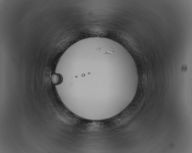 X0000091070320200708271221