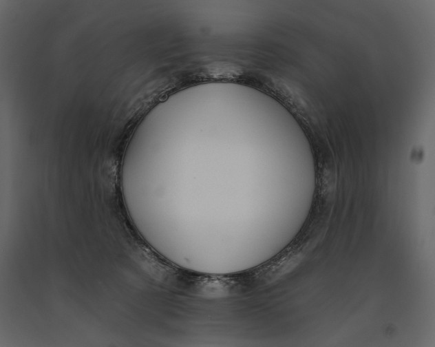 X0000091070321200708271221