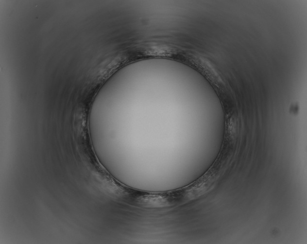 X0000091070322200708271221