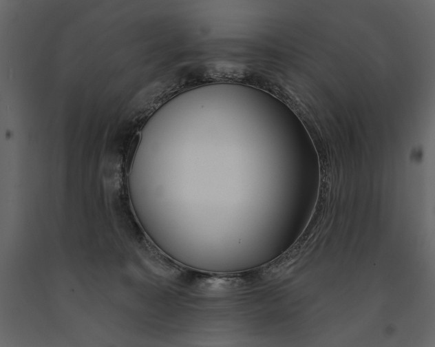 X0000091070323200708271221