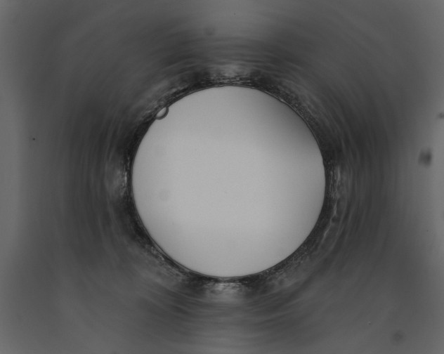 X0000091070324200708271221
