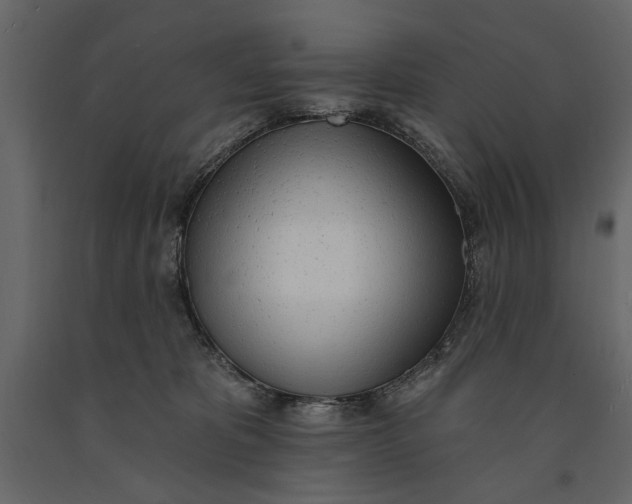 X0000091070325200708271221