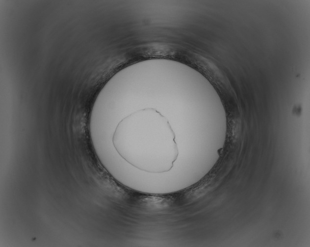 X0000091070326200708271221