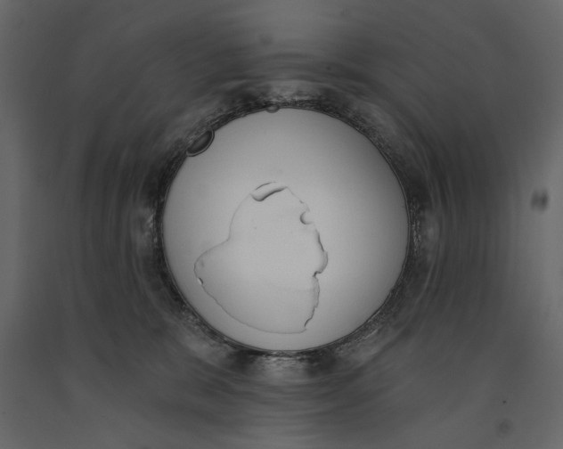 X0000091070327200708271221