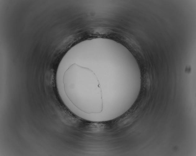 X0000091070328200708271221