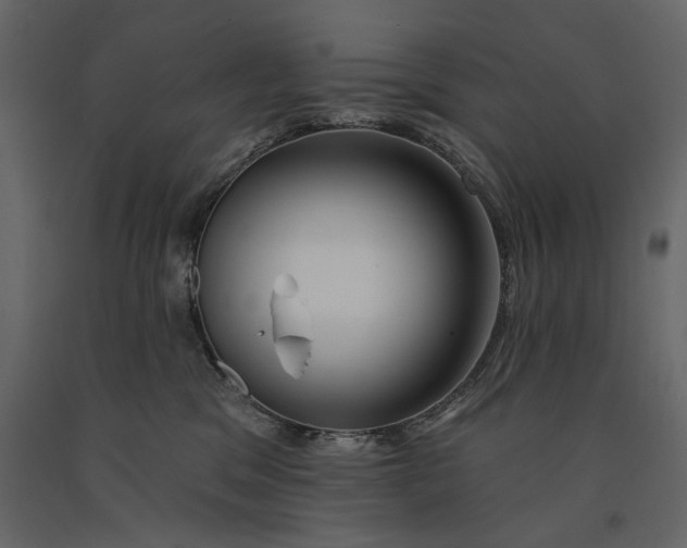X0000091070329200708271221