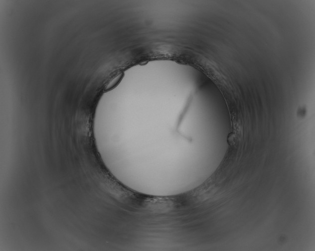 X0000091070331200708271221