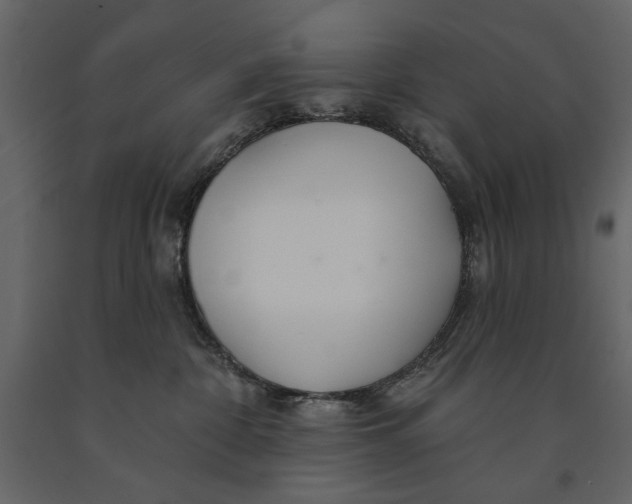 X0000091070332200708271221