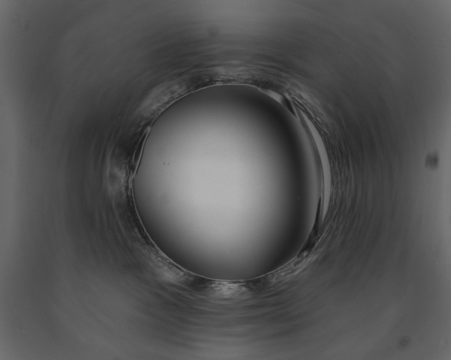 X0000091070333200708271221