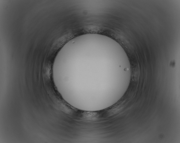 X0000091070334200708271221