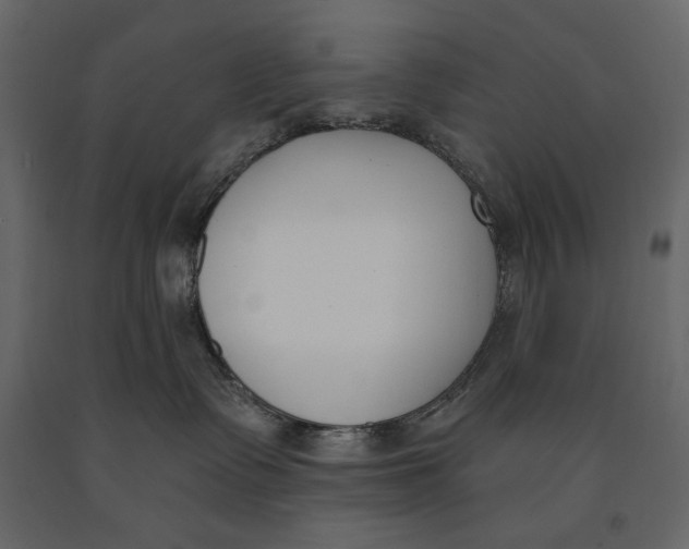 X0000091070335200708271221