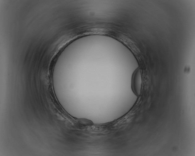 X0000091070338200708271220