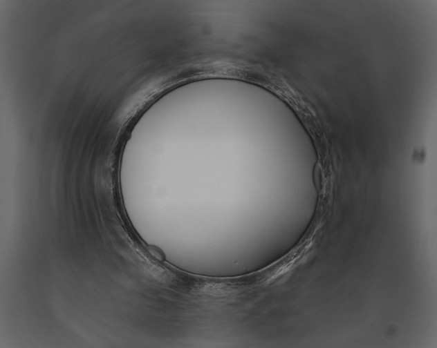 X0000091070341200708271220