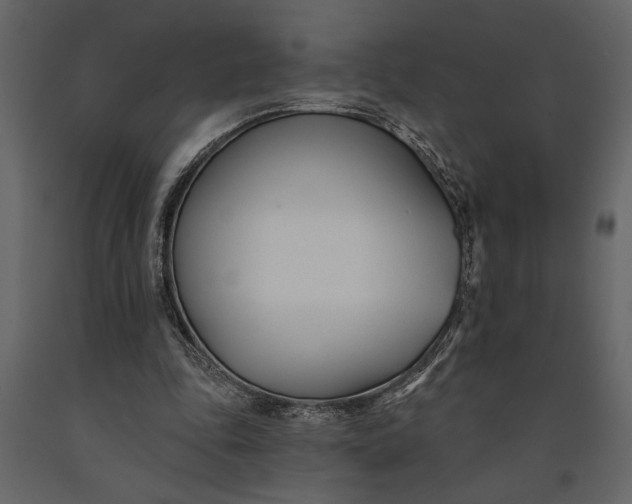 X0000091070343200708271220