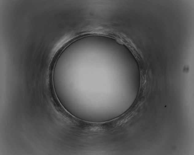 X0000091070344200708271220