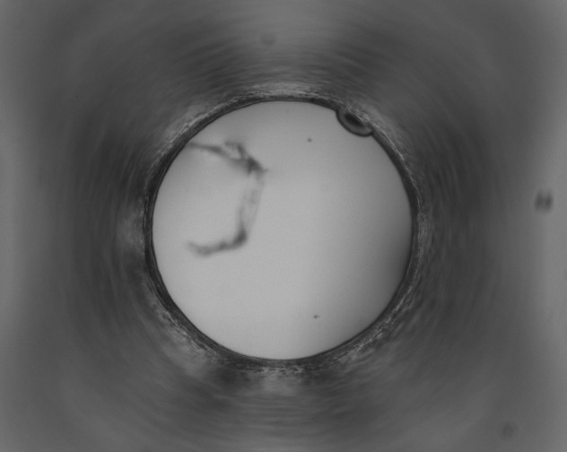 X0000091070345200708271220