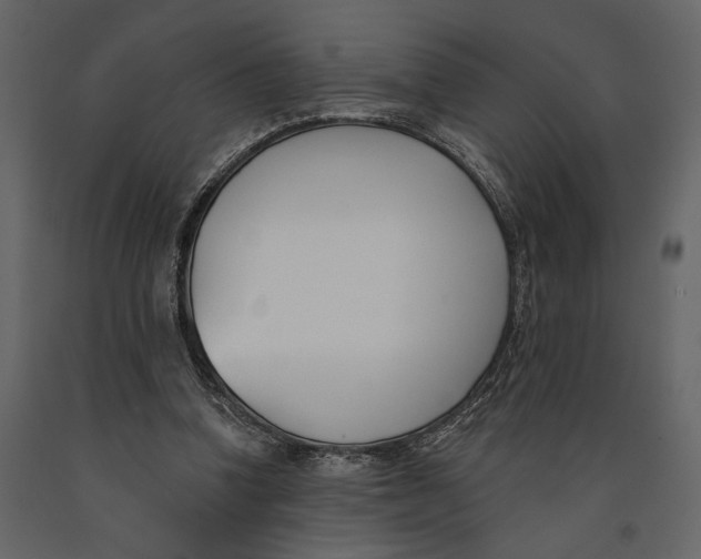 X0000091070346200708271220