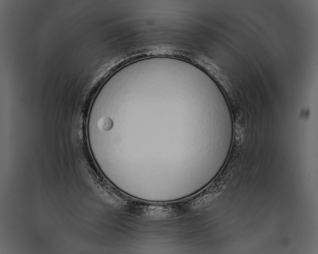 X0000091070347200708271220