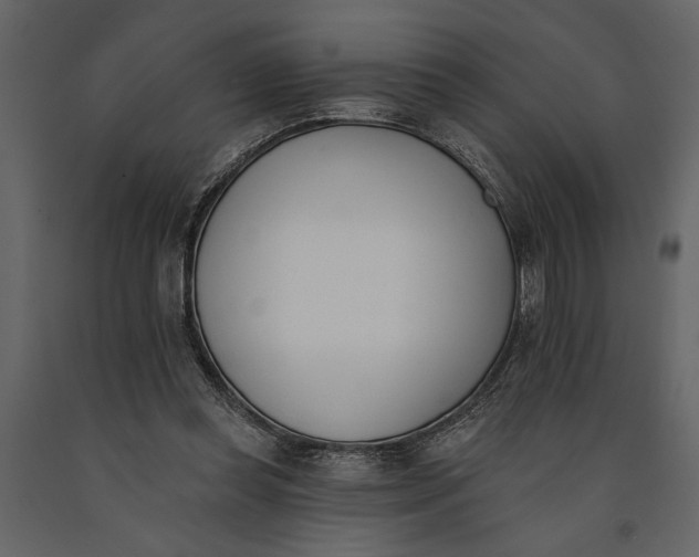 X0000091070349200708271220