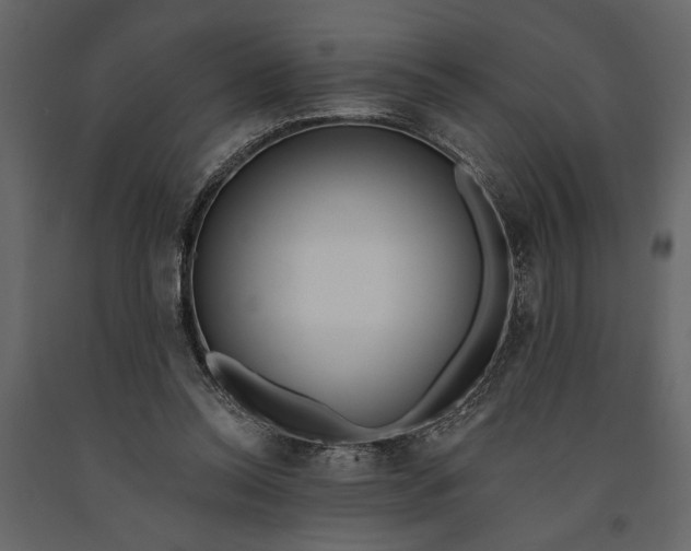 X0000091070350200708271220