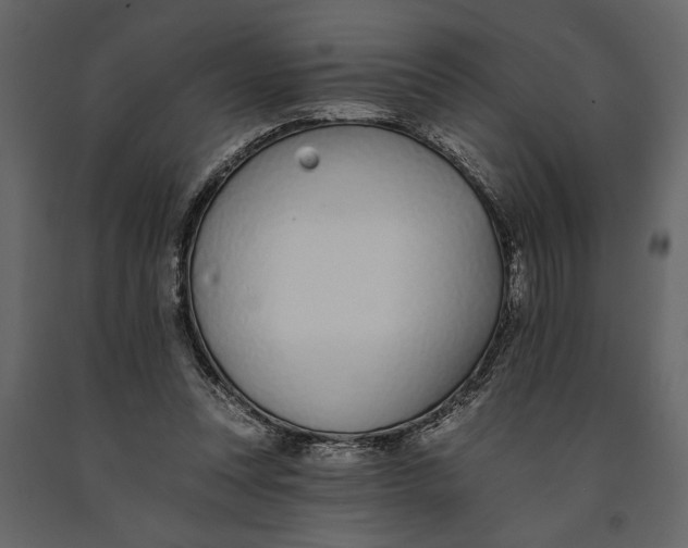 X0000091070351200708271220