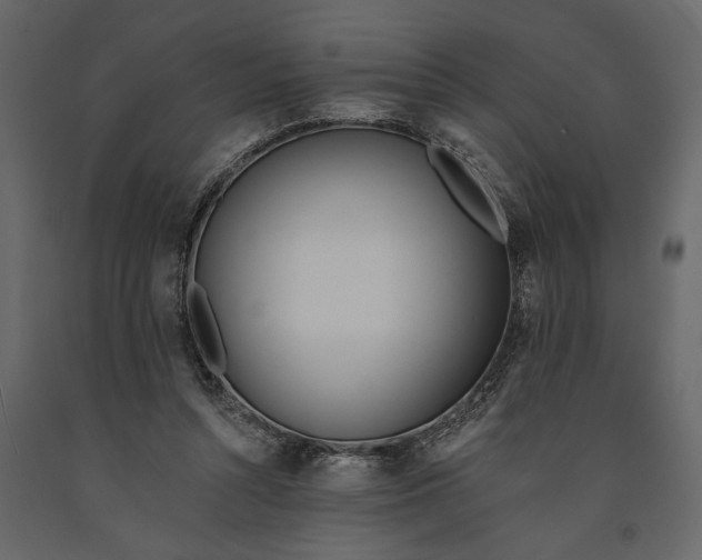X0000091070352200708271220