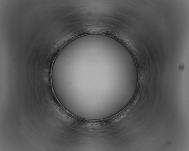 X0000091070353200708271220