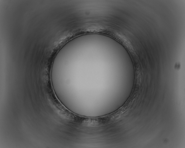 X0000091070354200708271220