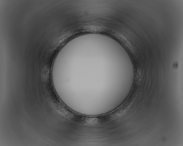 X0000091070355200708271220