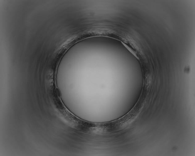 X0000091070356200708271220