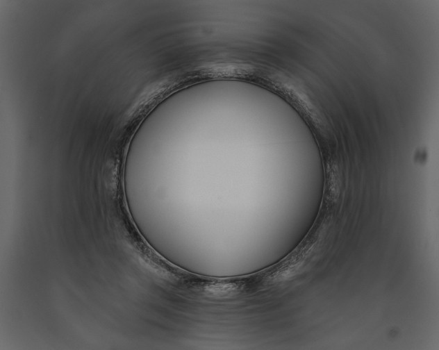 X0000091070357200708271220