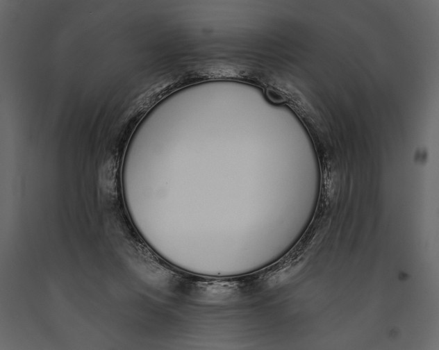 X0000091070359200708271220