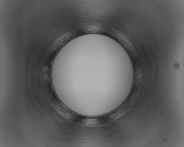 X0000091070361200708271220