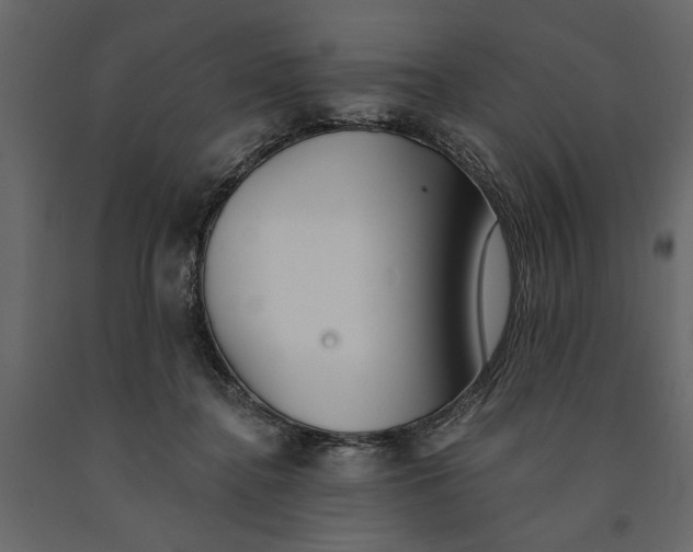 X0000091070364200708271221