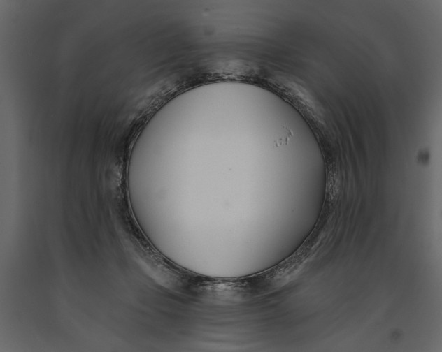 X0000091070365200708271221