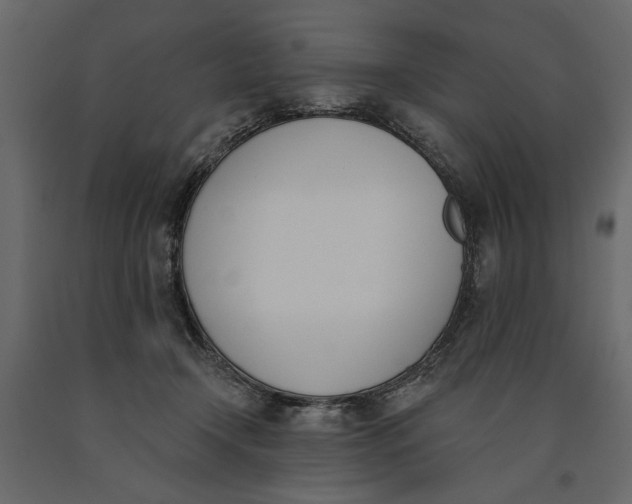 X0000091070366200708271221