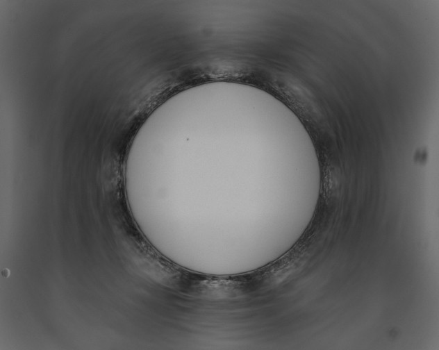 X0000091070367200708271221