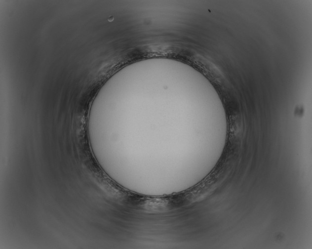 X0000091070369200708271221
