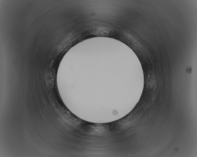 X0000091070370200708271221