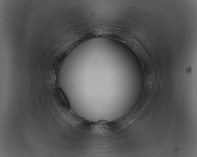 X0000091070372200708271221