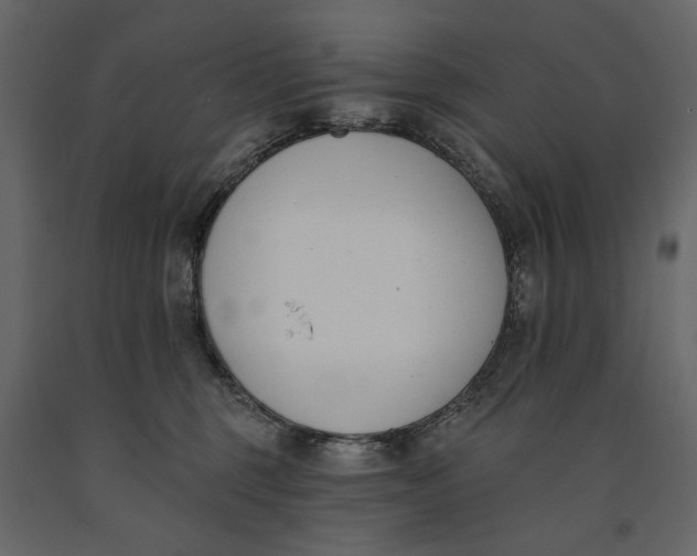 X0000091070375200708271221