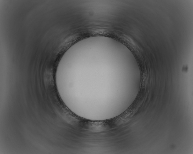 X0000091070377200708271221