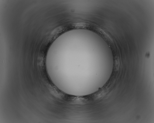 X0000091070379200708271221