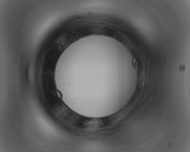 X0000091070383200708271221
