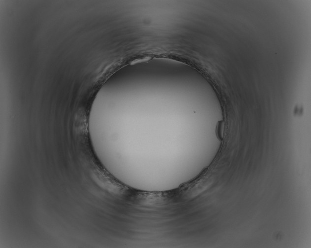 X0000091070384200708271221