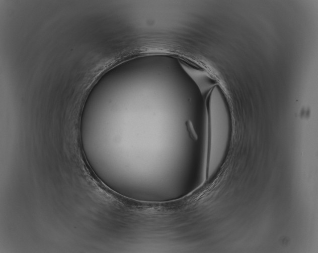 X0000091070385200708271220