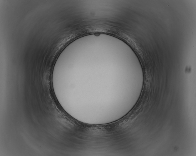 X0000091070386200708271220